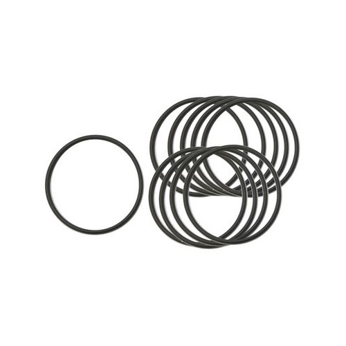 O-ring (10x)